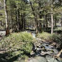 【長野】人生で一度は行きたい絶景スポット🏔️