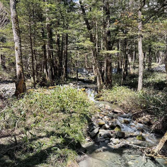 【長野】人生で一度は行きたい絶景スポット🏔️