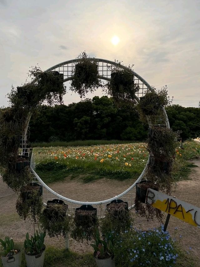 Just Pure Flower Happiness