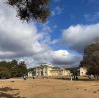 Just an Hour from Osaka: A Charming World of Deer, Temples & Tranquility