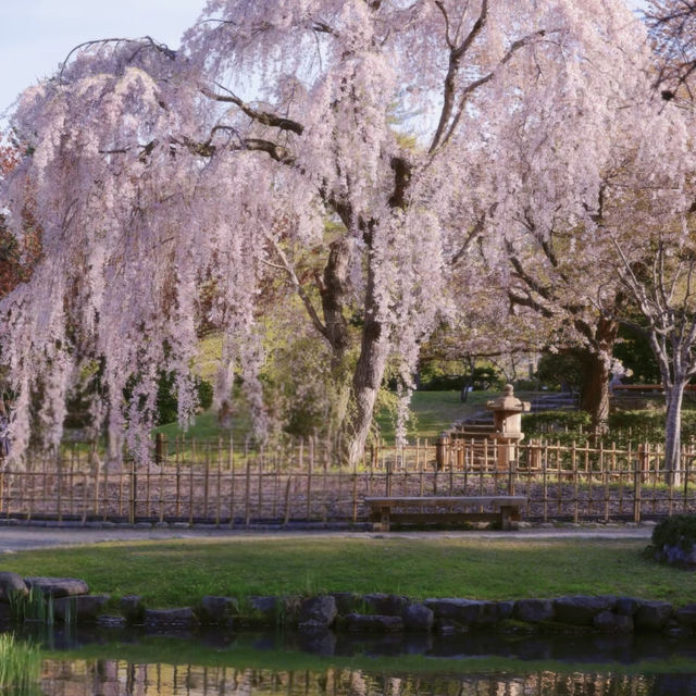 札幌一個公園隨手拍拍就美成這樣