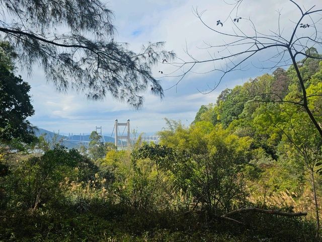 行山好去處：青衣自然徑