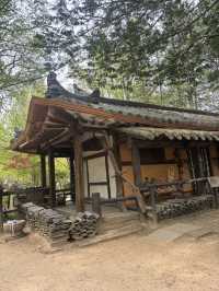 Going to Nami Island by Public Transport 😍