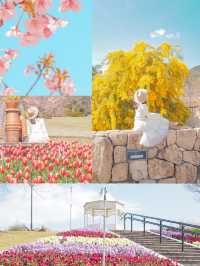 淡路島おすすめスポット8選🏝️🌤️🏝️🌤️