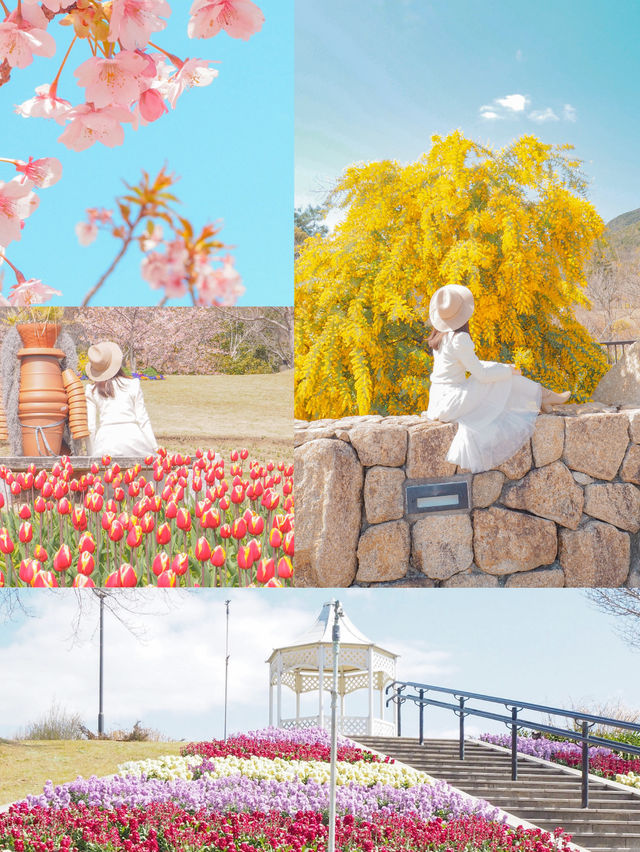 淡路島おすすめスポット8選🏝️🌤️🏝️🌤️
