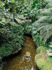 คาเฟ่ที่ใกล้ชิดธรรมชาติ ใจกลางเมืองกาญจนบุรี