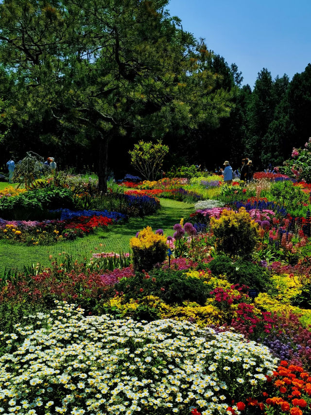 🌼 Tiantan Flower Border – Picture-perfect with every snap! 📸✨