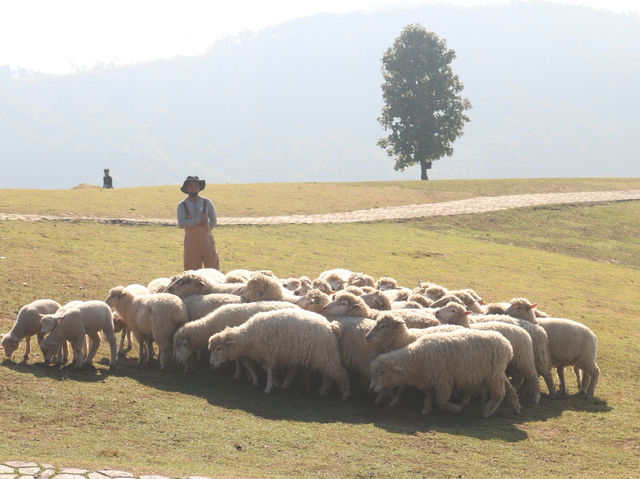 Akha framville 