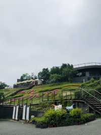 很寫意的一塊大草原