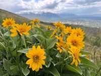 Salt Lake City, Utah – Where Urban Energy Meets Wild Adventure