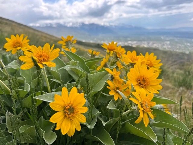 Salt Lake City, Utah – Where Urban Energy Meets Wild Adventure