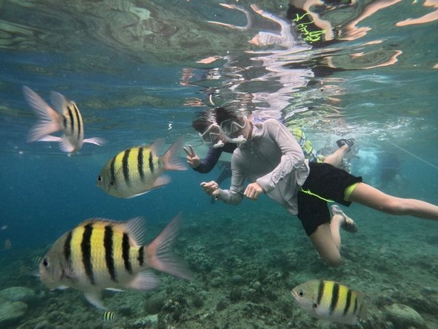 適合老中青三代共遊的薄荷島之旅