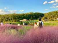 Title: Haneul Park: Seoul’s Heavenly Hilltop with a View
