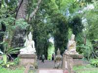 เที่ยวธรรมชาตินั่งสมาธิสงบ “วัดผาลาด” 