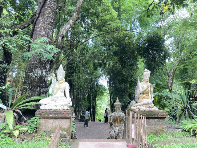 เที่ยวธรรมชาตินั่งสมาธิสงบ “วัดผาลาด” 