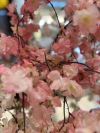 Petal-Lined Shores of Lake Biwa