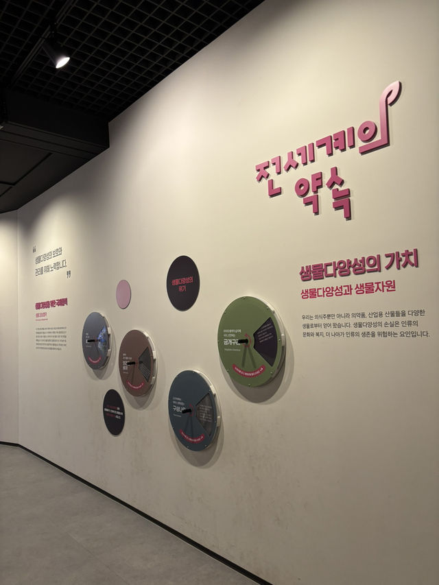 매주 매직쇼가 펼쳐지는 검단 박물관🥹