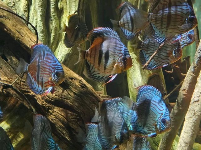 A Day with Nature: Our River Wonders Experience