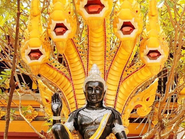 วนอุทยานเขานางพันธุรัต โดดเด่นที่ภูเขาหินปูน