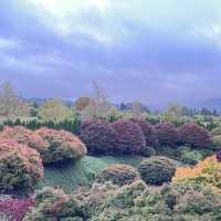 Tihiotonga Centennial Park散步探秘  🌳
