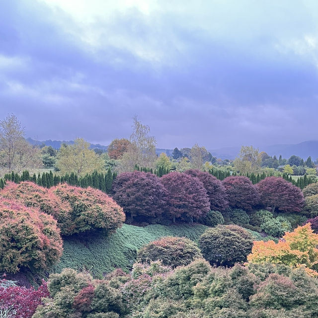 Tihiotonga Centennial Park散步探秘  🌳