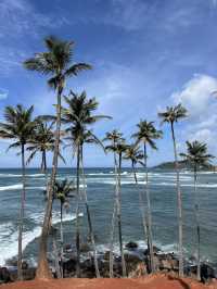 Coconut Tree Hill : Best sunset in Mirissa