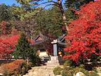 정동진과 설악산 1박 2일 여행코스
