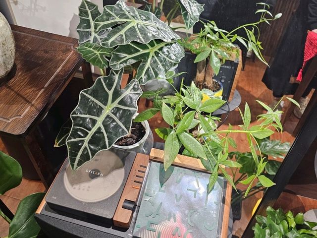 一山咖啡——廣州越秀區厂后街的文藝咖啡空間