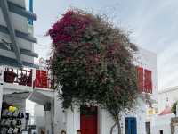 Mykonos Island Dreams