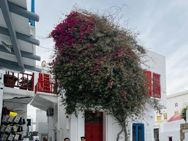 Mykonos Island Dreams