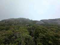 Where Mossy Trails Meet Epic Views
