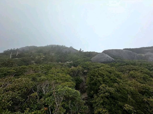 Where Mossy Trails Meet Epic Views