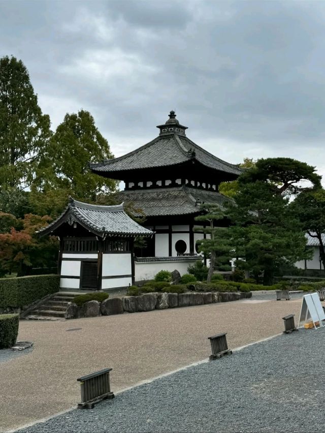 Hanging Out at Tofukuji 