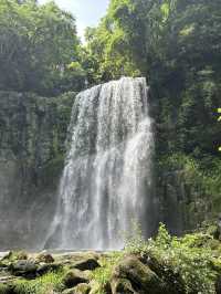【大分県・日田】して行ける秘境の滝・第一位　桜滝