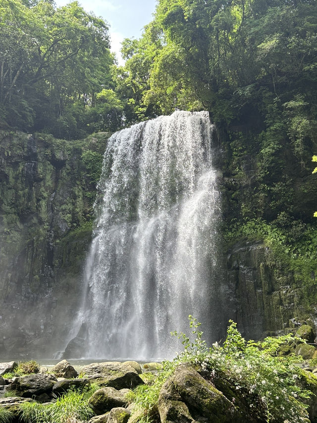 【大分県・日田】して行ける秘境の滝・第一位　桜滝