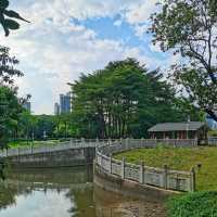 ～長沙公園～端午綠蔭行～