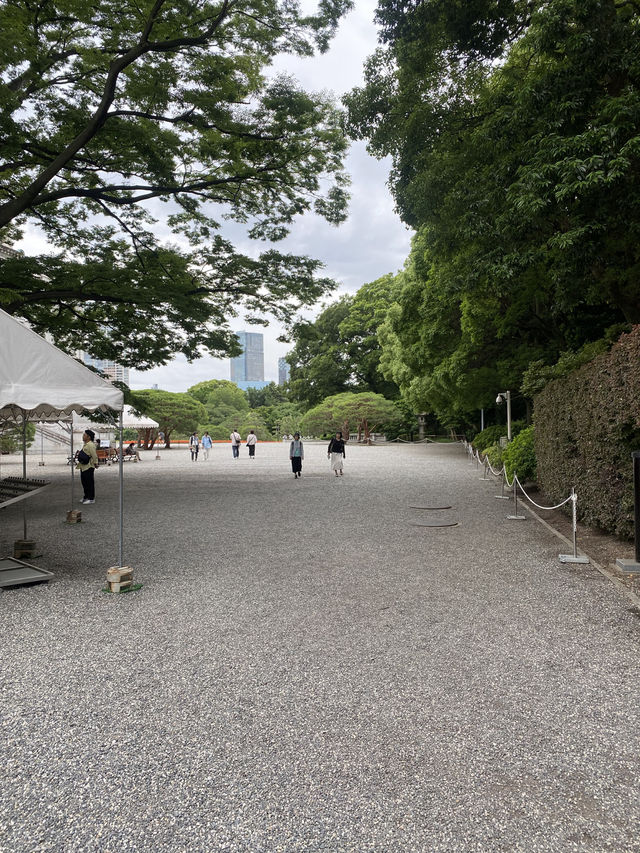 【東京都🇯🇵 迎賓館赤坂離宮】華やかな外交活動の場☺️国宝にもなってます。