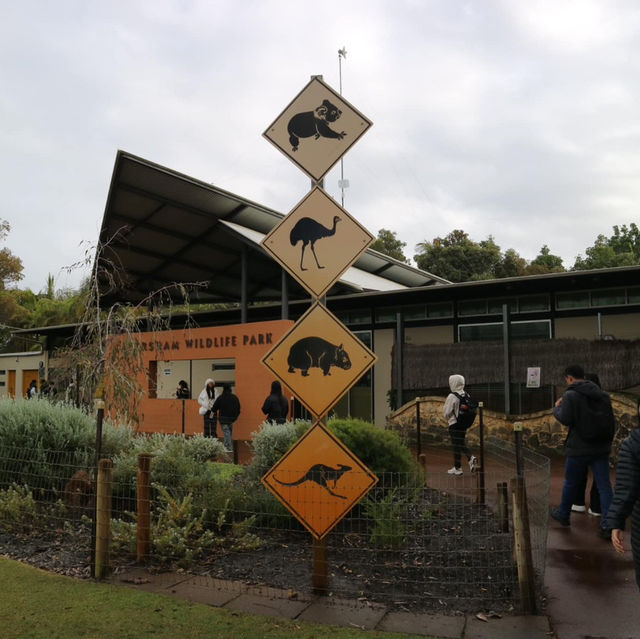 Wild Encounters at Caversham Wildlife Park