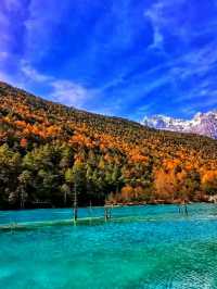 #BlueMystique – A Moment in Blue Moon Valley, Lijiang