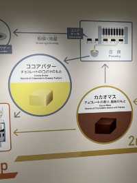 Make your own chocolate in Sapporo!!
