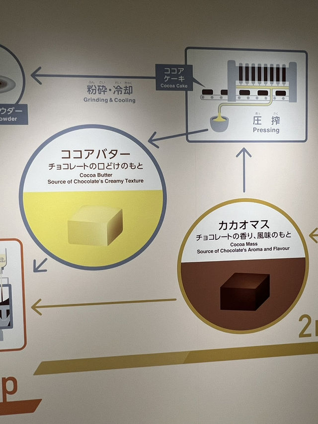 Make your own chocolate in Sapporo!!