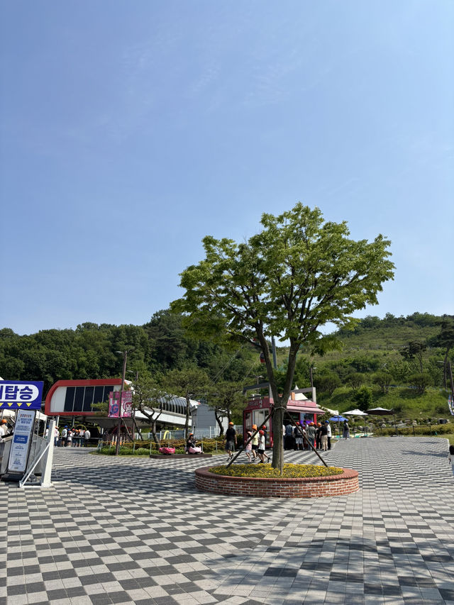 시원한 자연경치 보며 탈 수 있는 강화 루지🥳