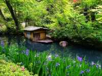 Nezu Museum – Where Art, Architecture, and Nature Meet in Harmony