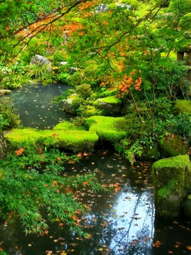 Sanzen-in – A Hidden Temple Garden in the Hills of Ohara