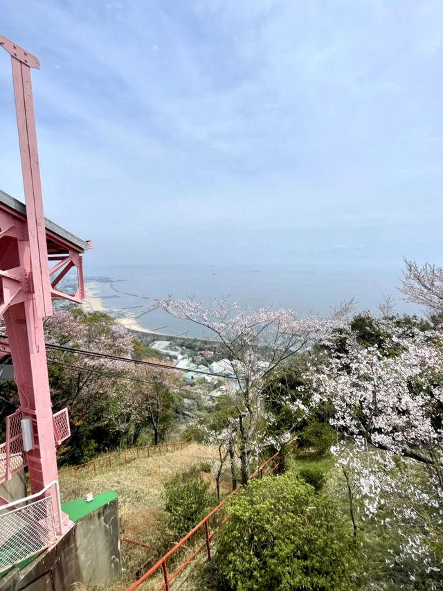 A Day in Nature in Suma, Kobe 🌊🌲