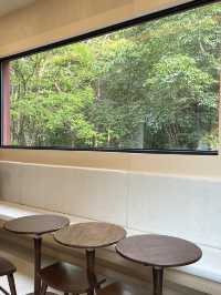 Reforest Café – คาเฟ่บรรยากาศธรรมชาติในแทจอน