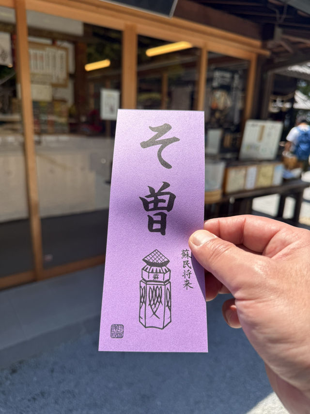 岡山｜在紫藤季再訪阿智神社 賞阿智大藤與抽彩色籤