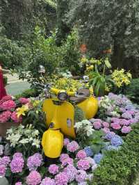 Flower Dome💐🌸🌺🌻