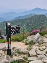 Pain, Glory & Sky-High Feels at Daecheongbong