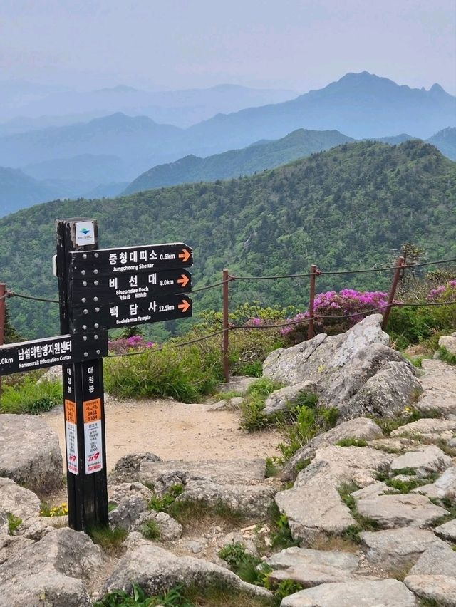 Pain, Glory & Sky-High Feels at Daecheongbong